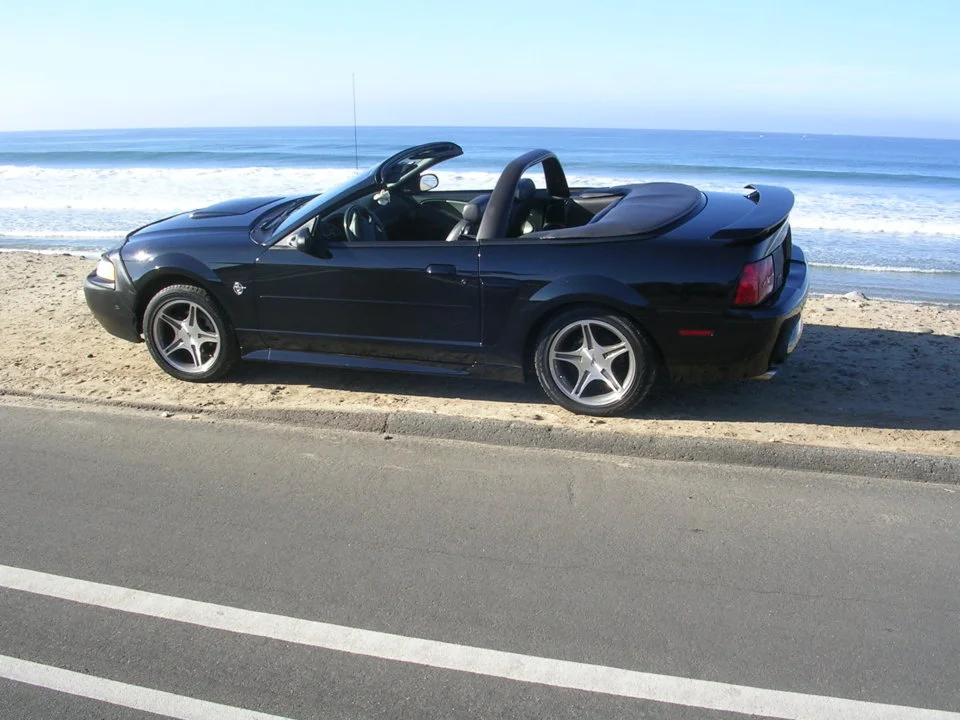Mustang 015.webp