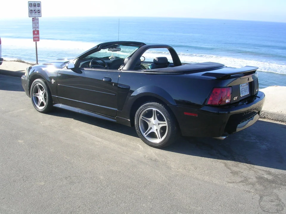 Mustang 020.webp