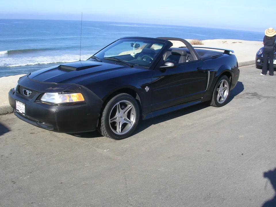 Mustang 022.webp
