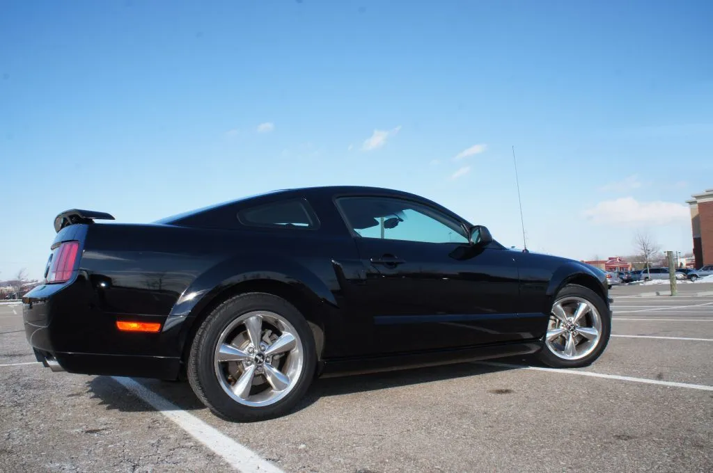 Mustang 03.webp