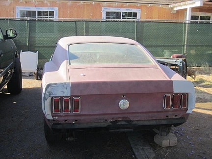 mustang 033.webp