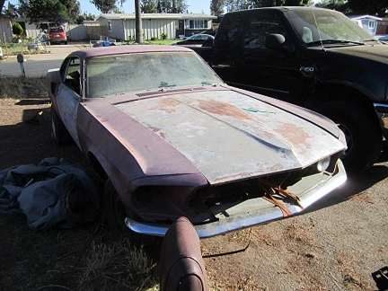 mustang 035.webp