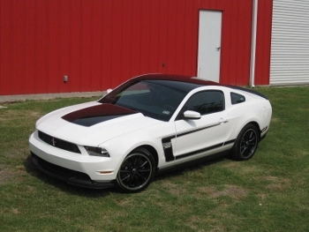 mustang 043 (350x263).webp