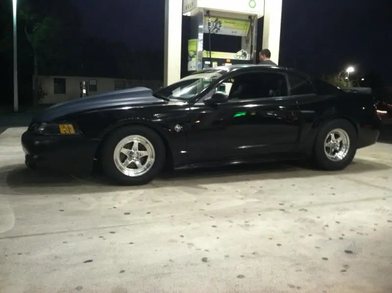 Mustang-1.webp