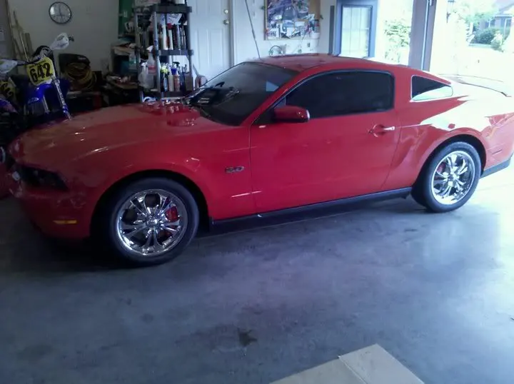 mustang-1.webp