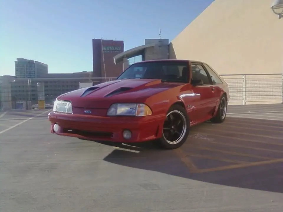 mustang-1.webp