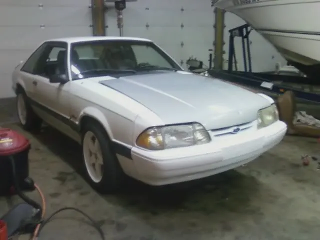mustang-1.webp