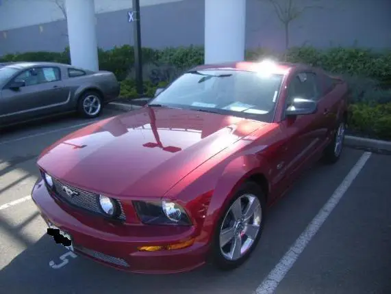 mustang-1.webp