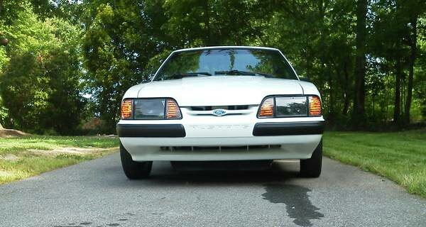 Mustang 1.webp