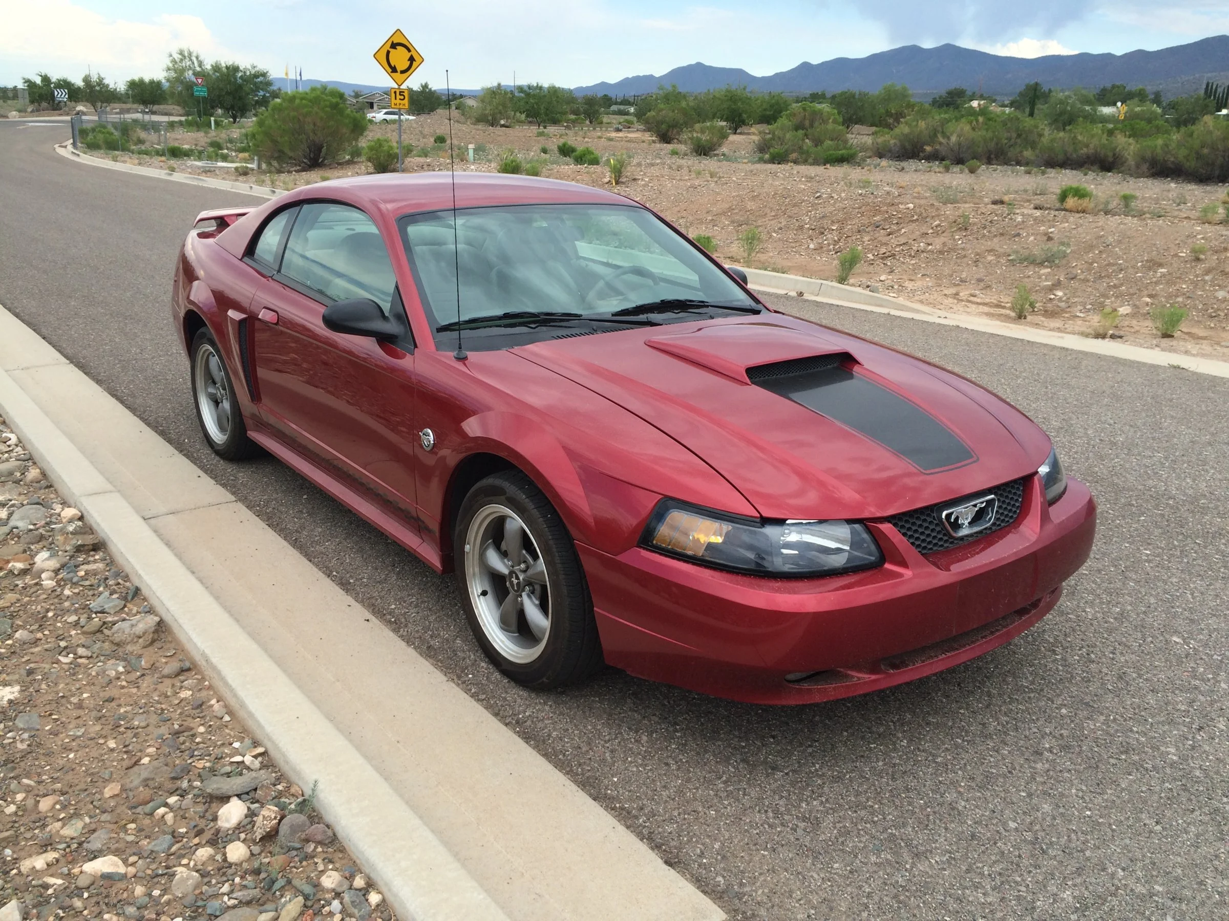 mustang 1.webp