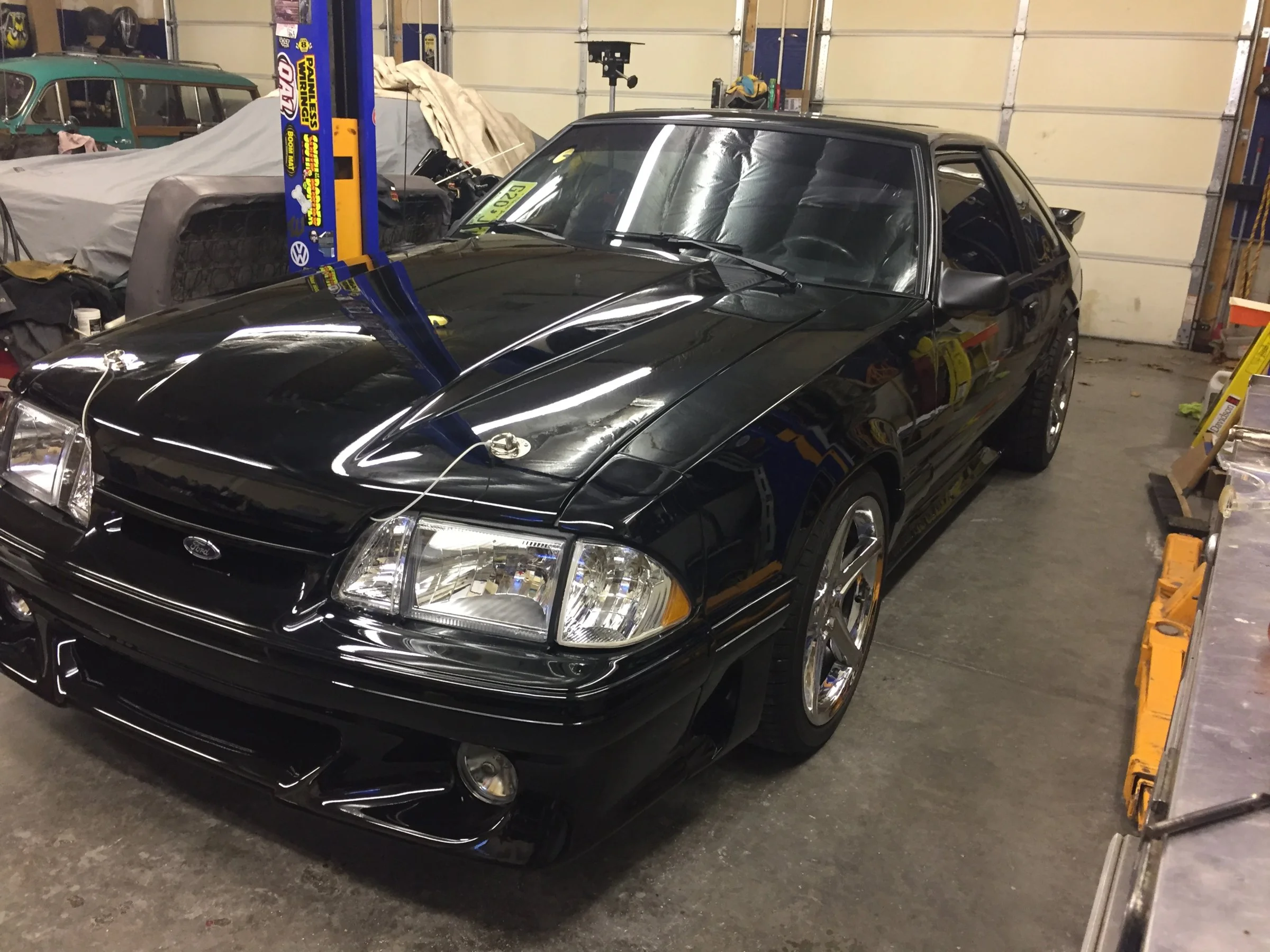 mustang 1.webp