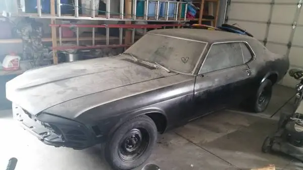 Mustang 1.webp