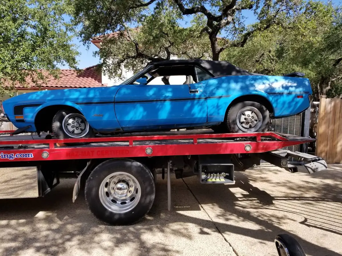 mustang 1.webp