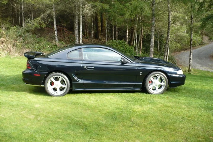 mustang.1.webp