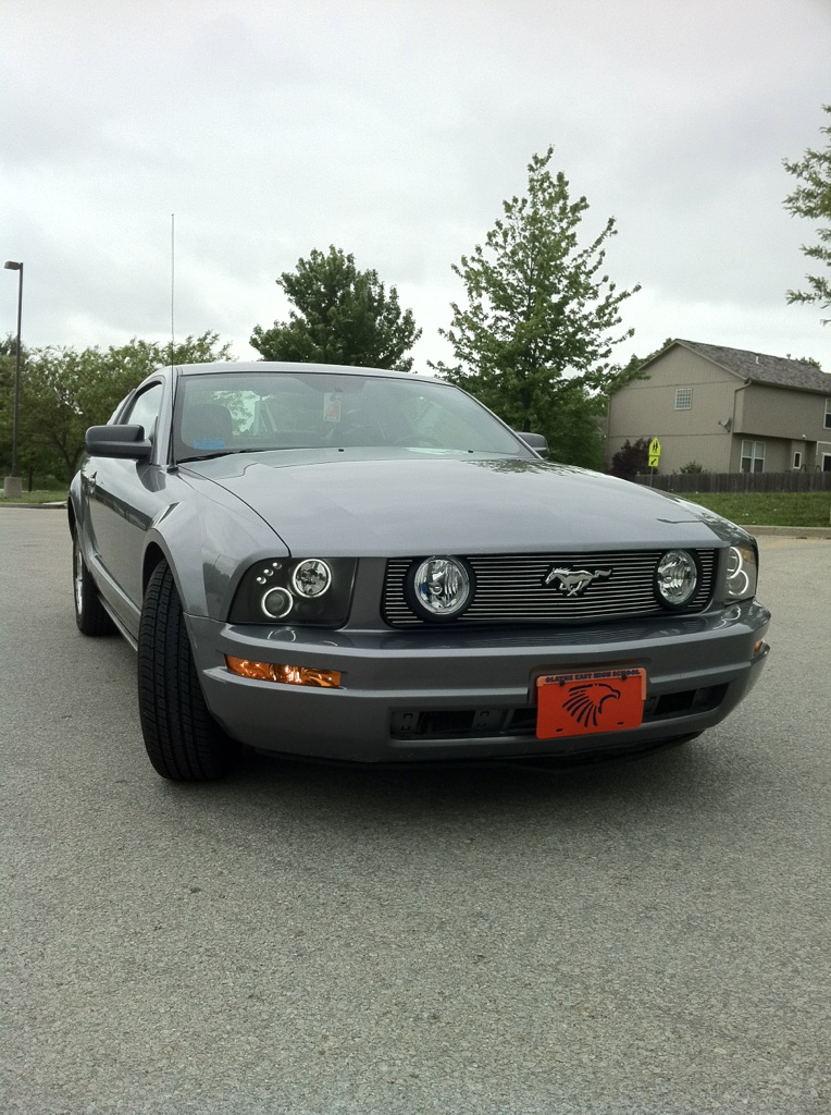 mustang 1.webp