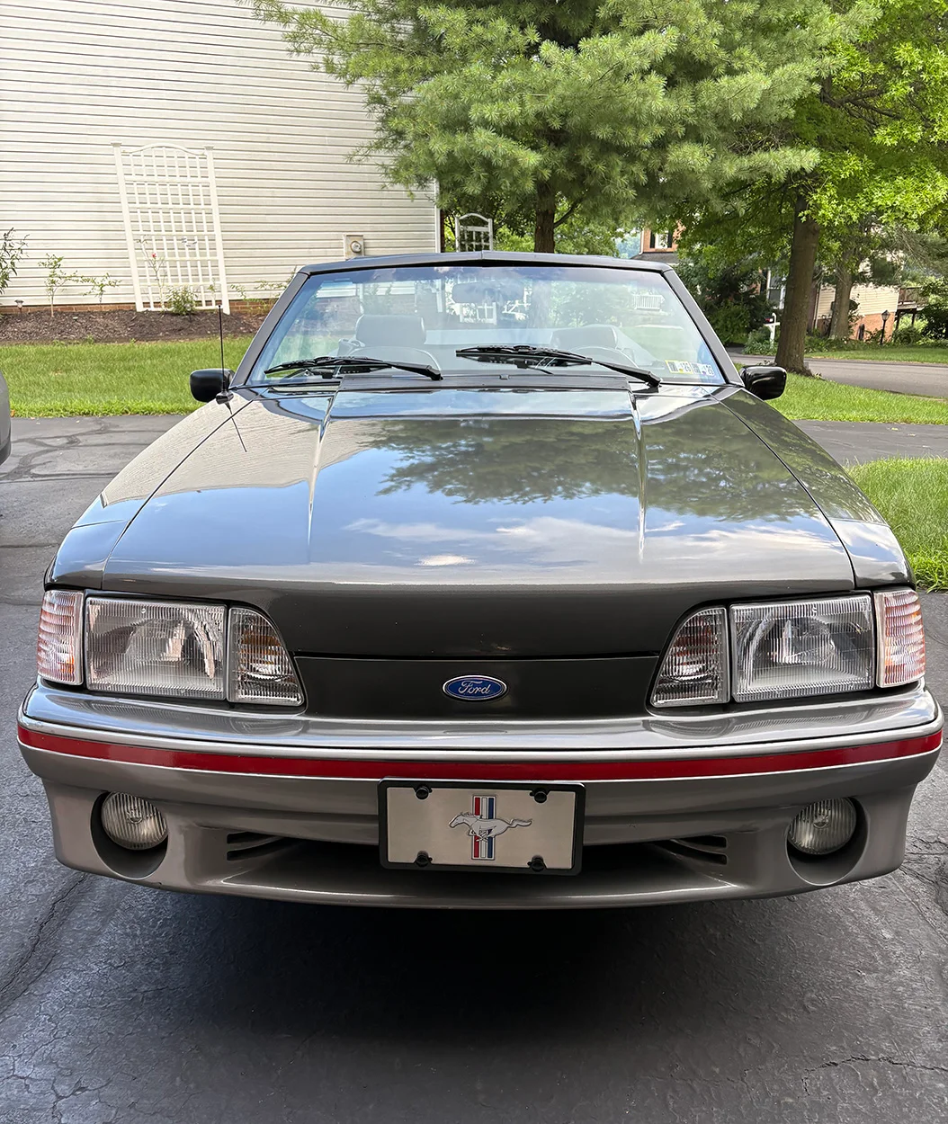 Mustang (1).webp