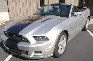 Mustang 1.webp