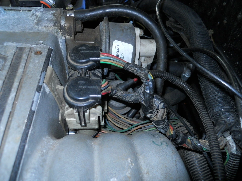 Mustang-10-Pin.webp