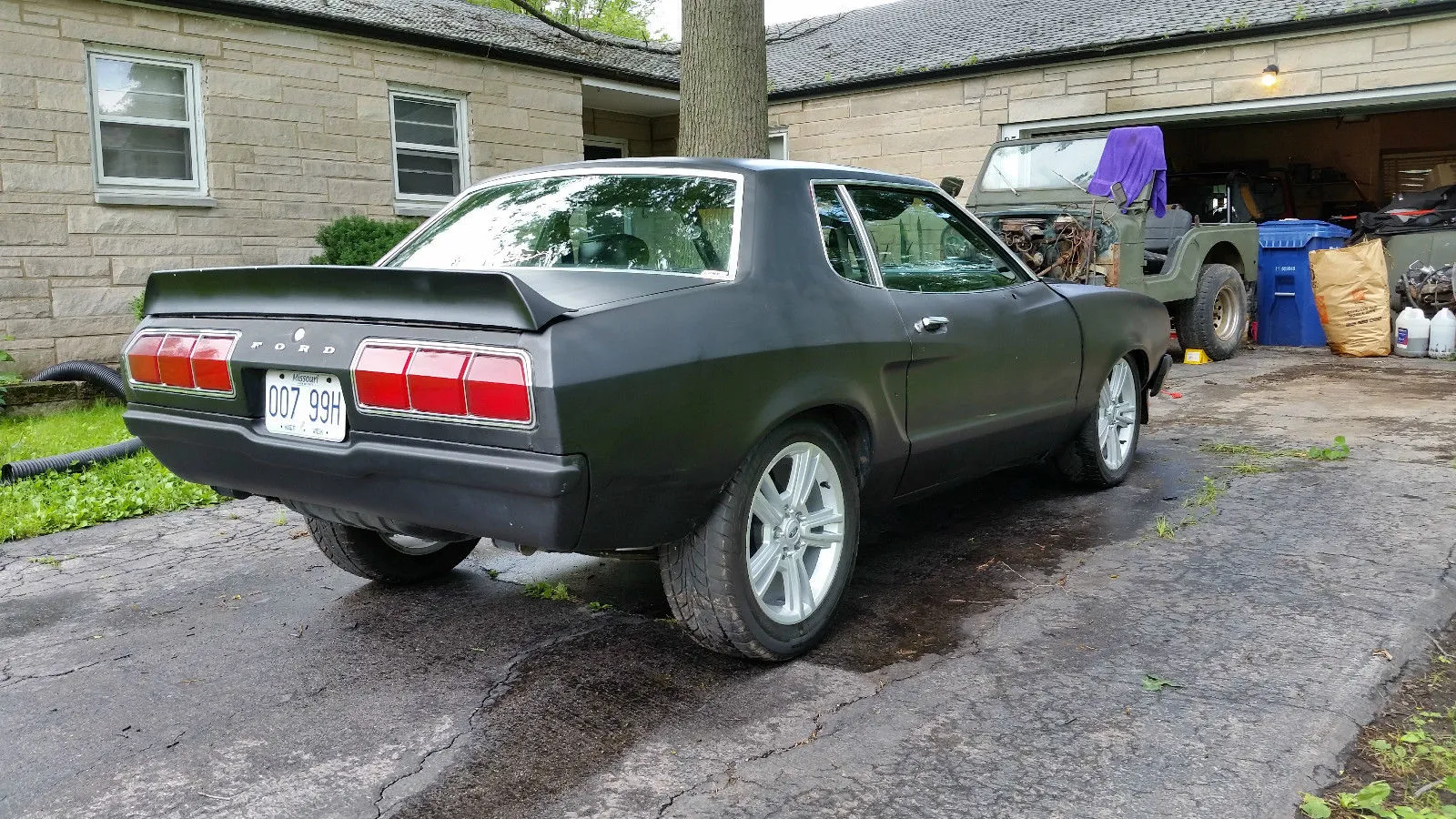mustang-2-5.webp