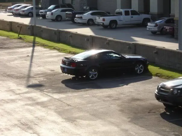 mustang-2.webp