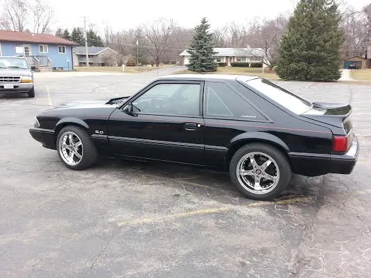mustang 2.webp