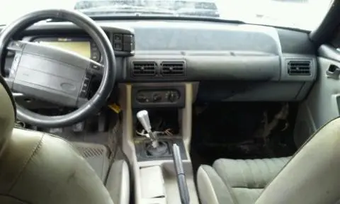 mustang 2.webp