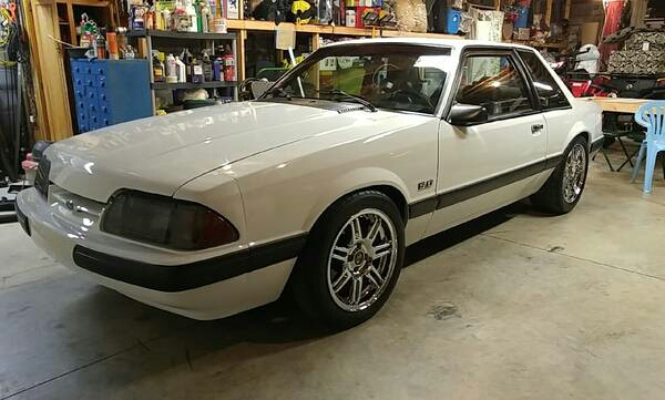 Mustang 2.webp