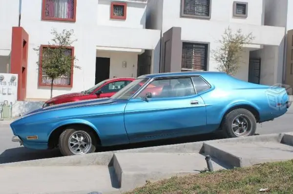 mustang 2.webp