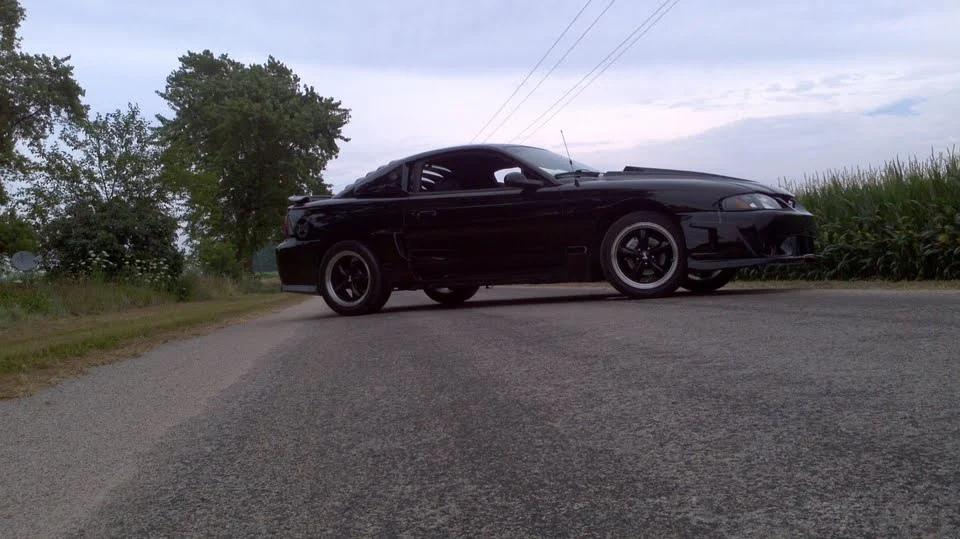 mustang 2.webp