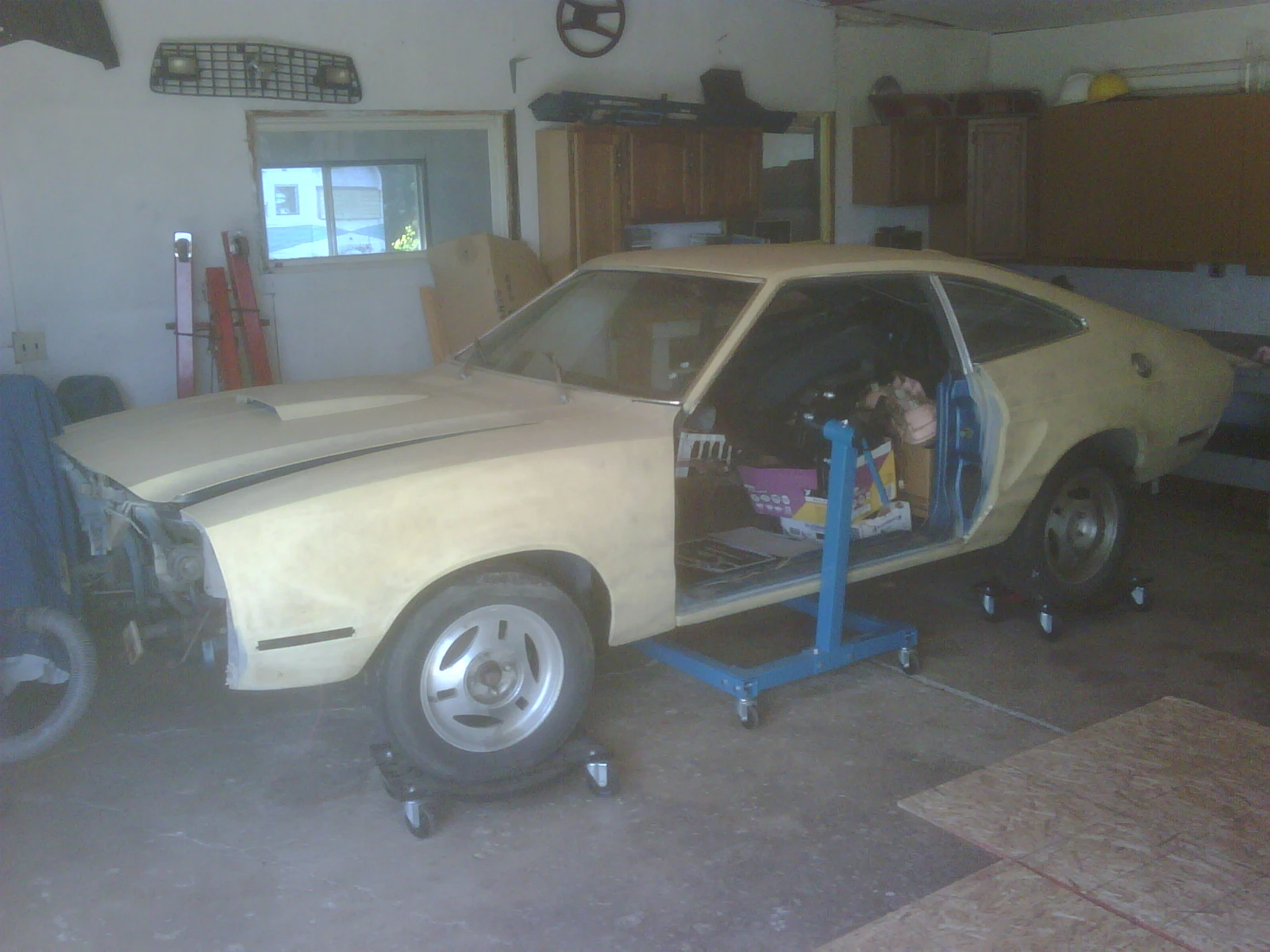 Mustang 2.webp