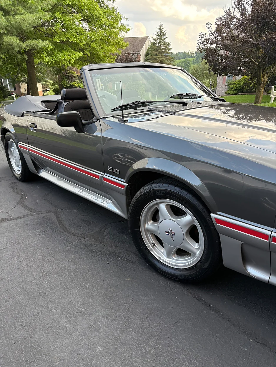 Mustang (2).webp
