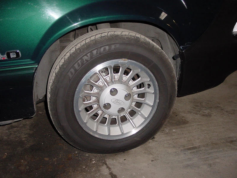 Mustang%20038.webp