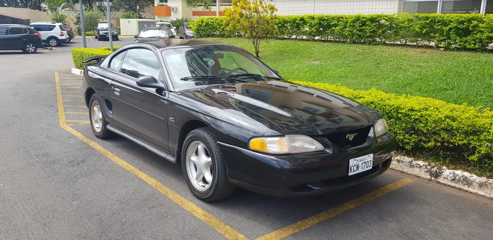 mustang 23232.webp