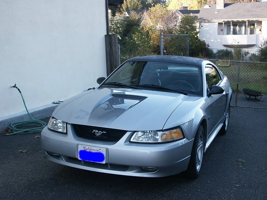 Mustang%252520%252528internet%252529.webp