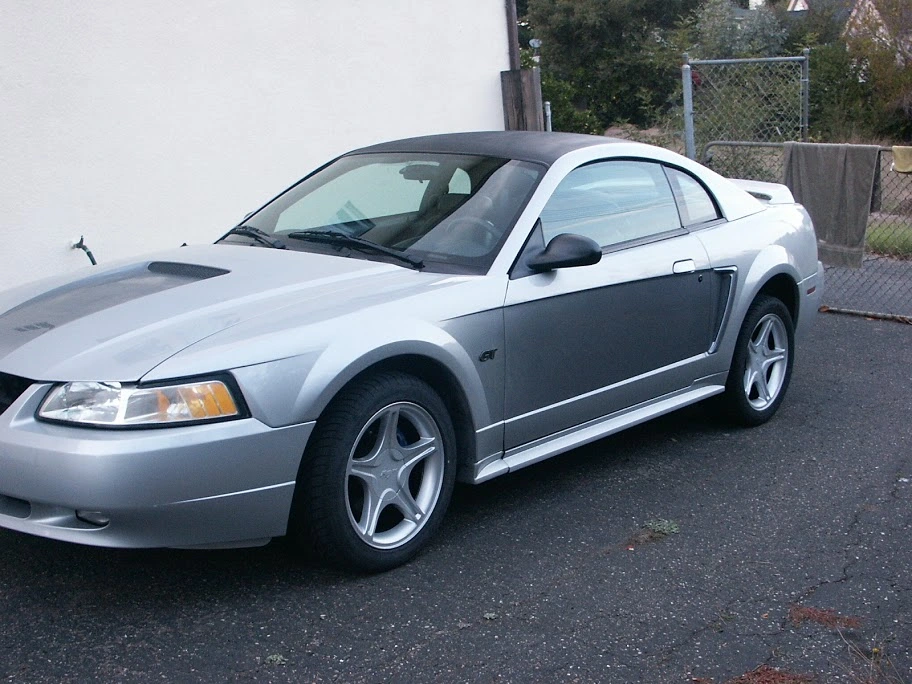 Mustang%252520009.webp