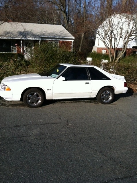 mustang 3-1-12.webp