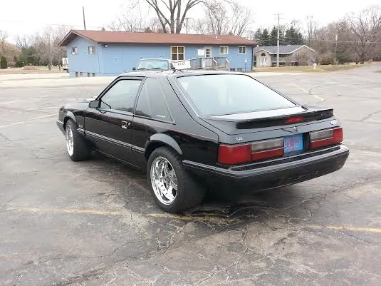 mustang 3.webp