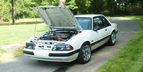 Mustang 3.webp