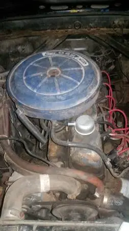 Mustang 3.webp