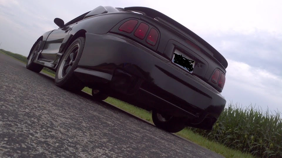 mustang 3.webp
