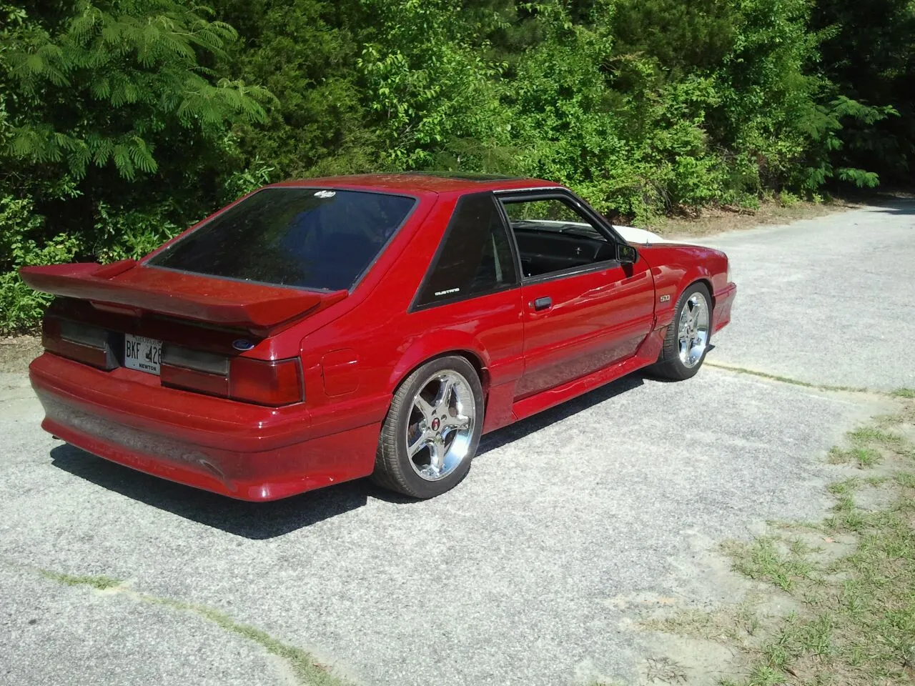 mustang 3.webp