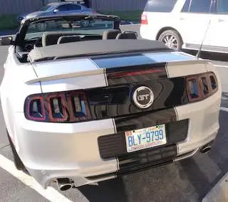 Mustang 3.webp