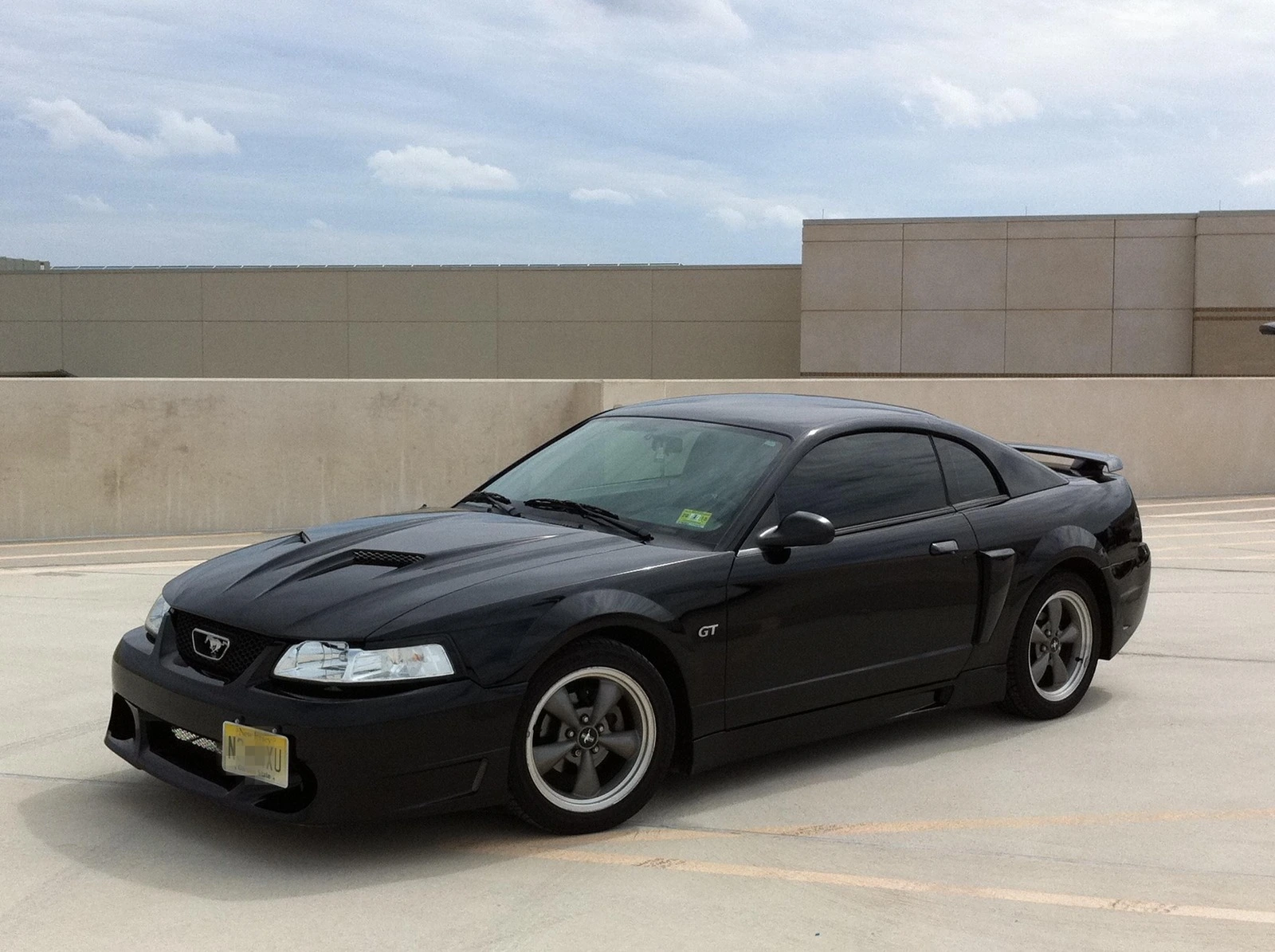 mustang 31.webp