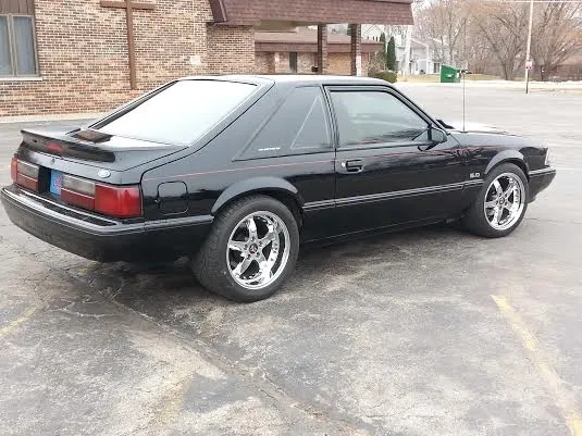 mustang 4.webp