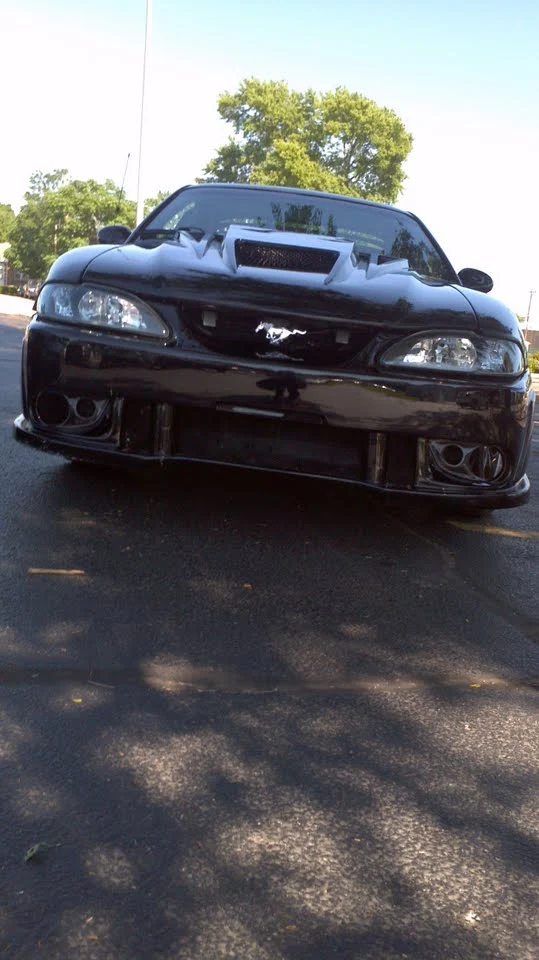 mustang 4.webp