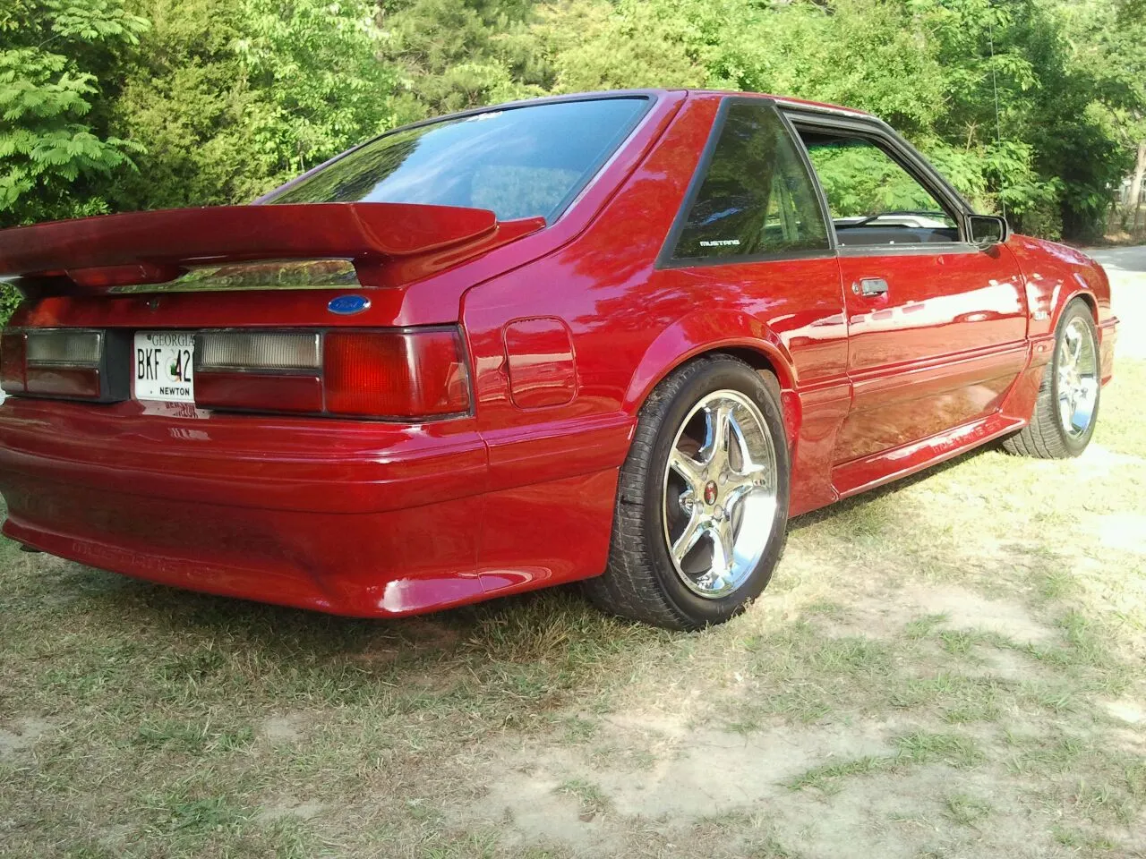 mustang 4.webp
