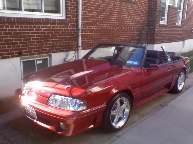 Mustang-41.webp