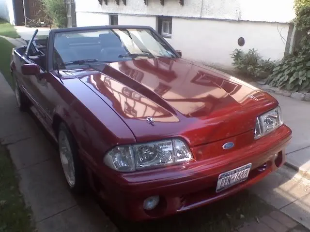 Mustang-43.webp