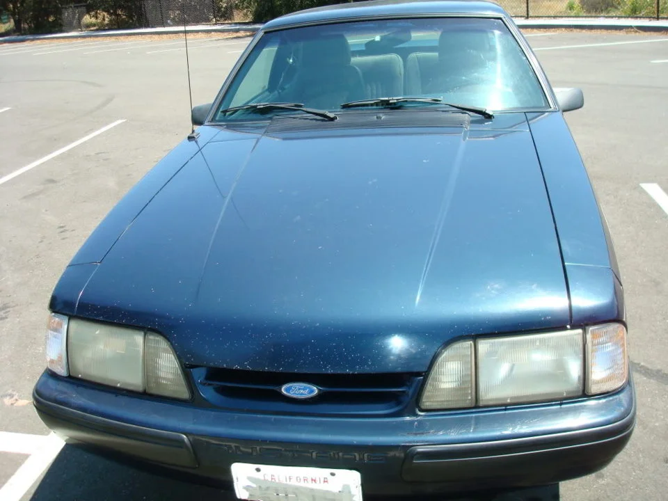 mustang 5.0.webp