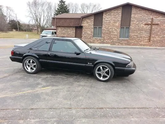 mustang 5.webp